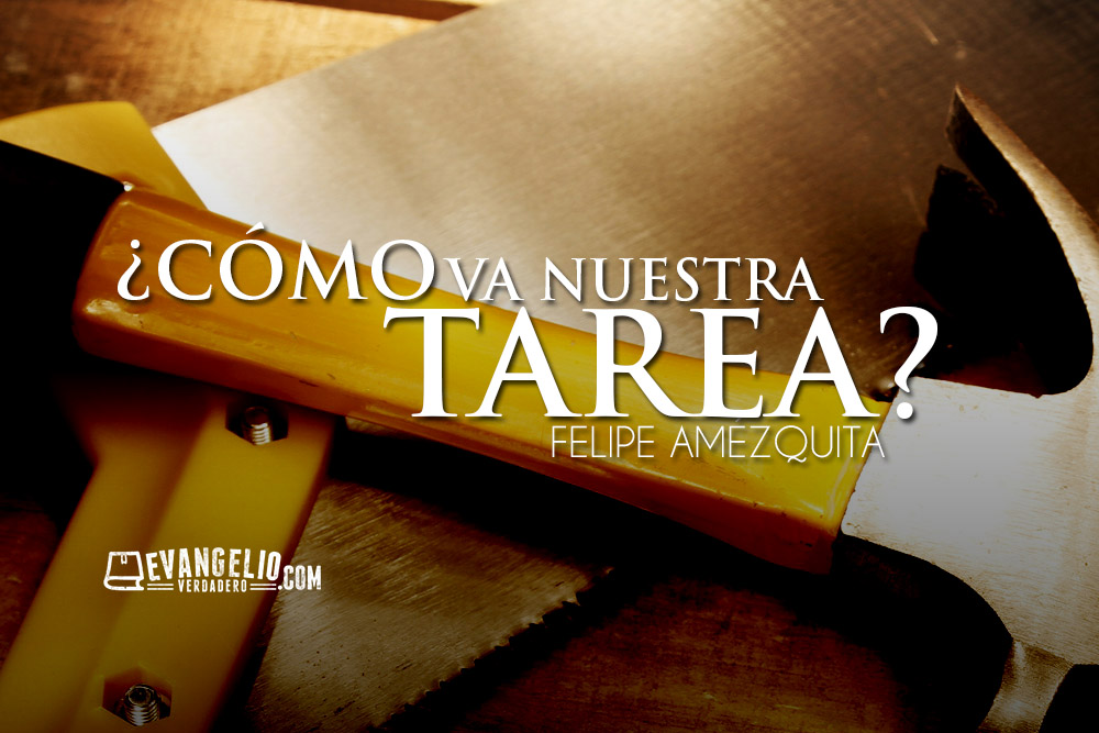 ¿Cómo va nuestra tarea? | Felipe Amézquita ¿Cómo va nuestra tarea? | Felipe Amézquita