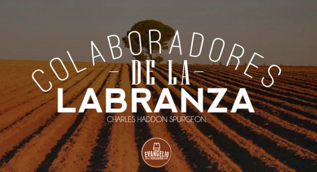 PDF | Colaboradores de la Labranza | Charles H. Spurgeon PDF | Colaboradores de la Labranza | Charles H. Spurgeon