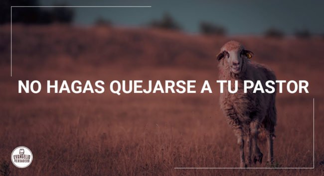 No hagas quejarse a tu pastor | Evangelio Verdadero No hagas quejarse a tu pastor | Evangelio Verdadero