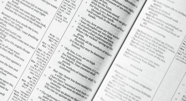 chuttersnap-332512-unsplash