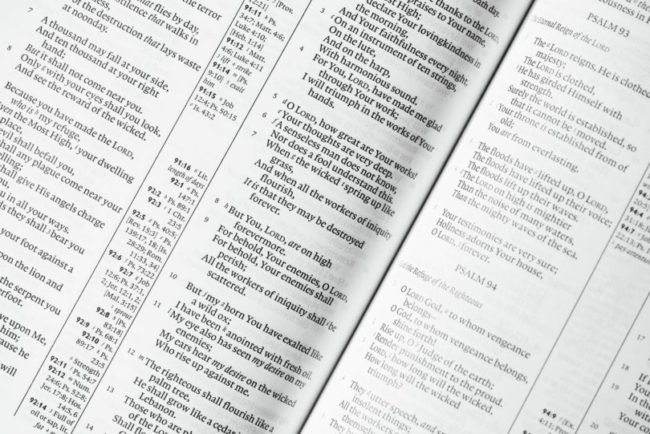 chuttersnap-332512-unsplash