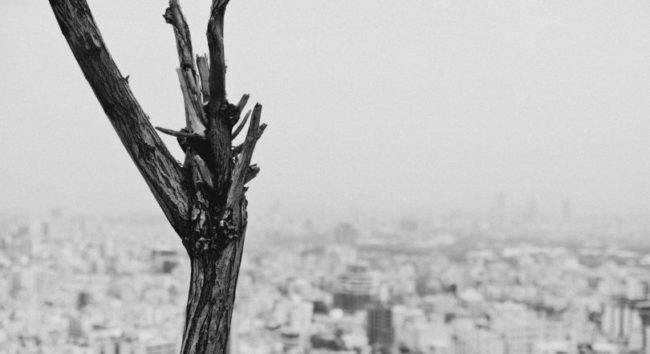 farzad-mohsenvand-622621-unsplash