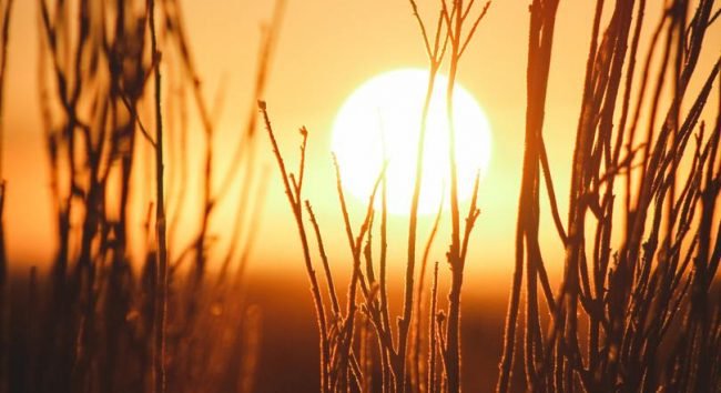 jeremy-bishop-EdSdhvPX36M-unsplash (1)